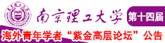 日逼一看免费南京理工大学第十四届海外青年学者紫金论坛诚邀海内外英才！